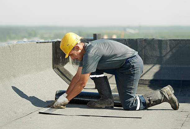 Best DIY Insulation Kits and Guidance in Falls Church, VA