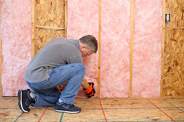 Best Eco-Friendly Insulation in Falls Church, VA