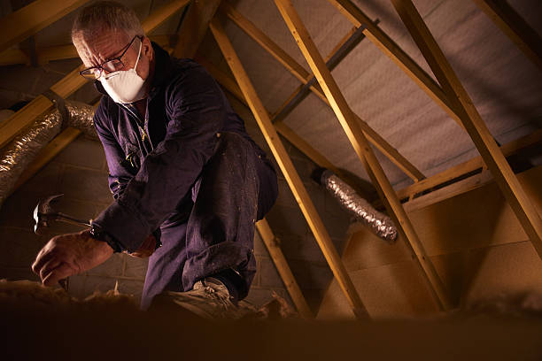 Best DIY Insulation Kits and Guidance in Falls Church, VA